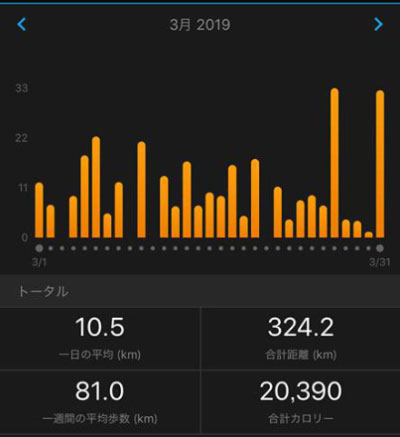 2019年3月の月間走行距離