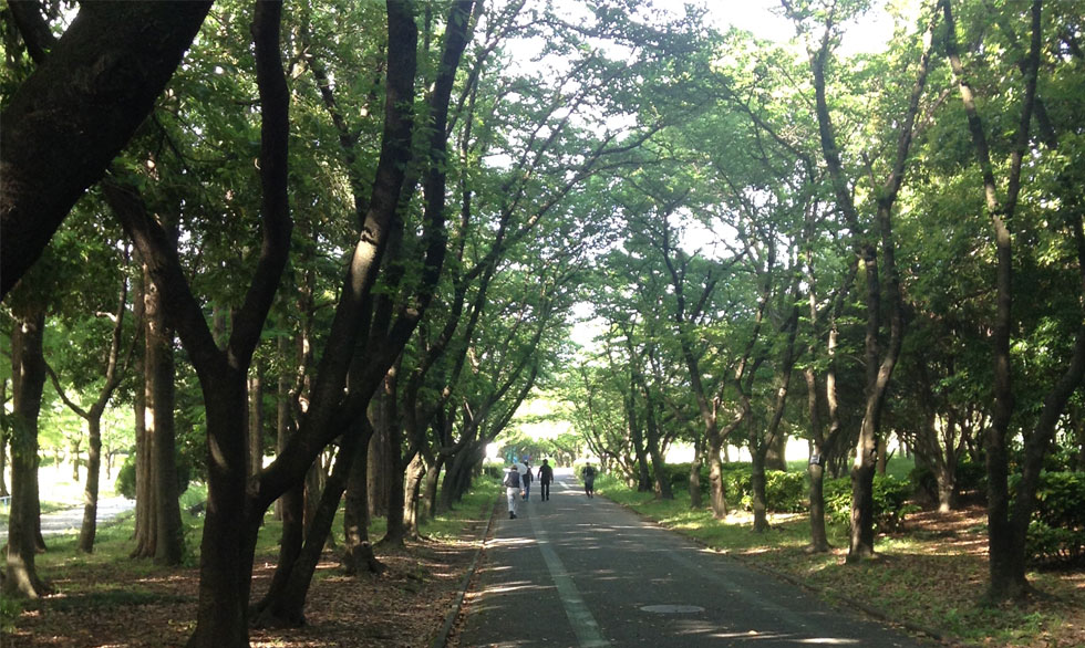 庄内緑地公園