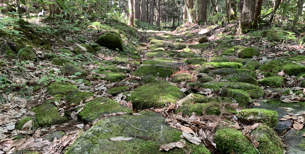 位山道