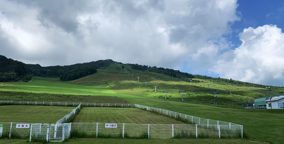 モンデウススキー場