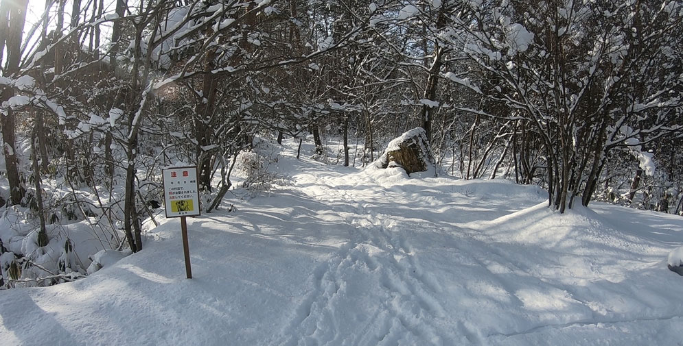 登山口