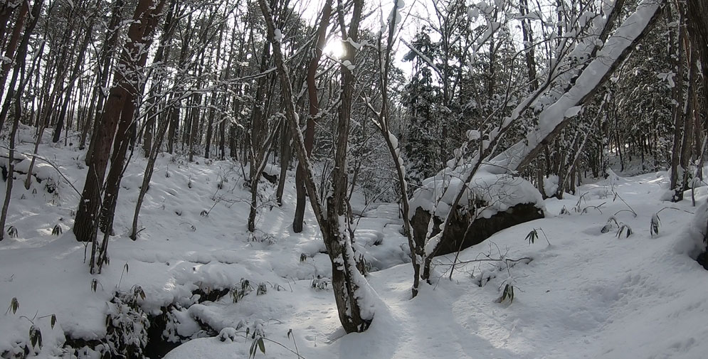 原山への雪道