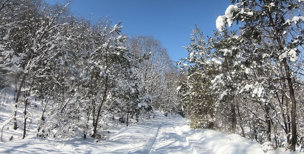 晴天の雪道