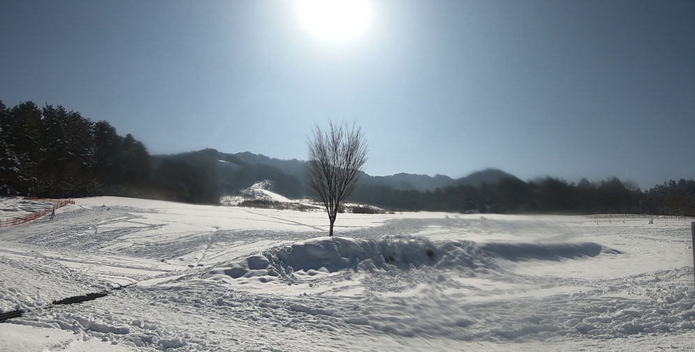 すっかり晴れた原山公園