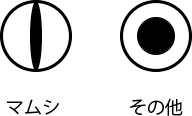 目の形状