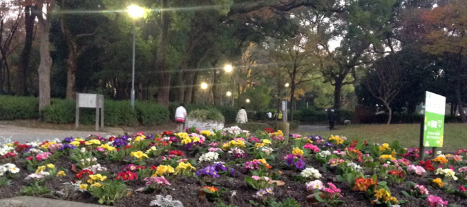 写真：早朝の名城公園