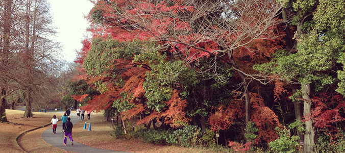 写真：愛知県森林公園