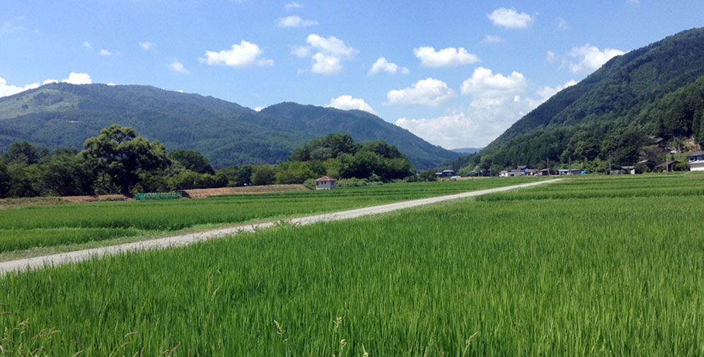 田園風景