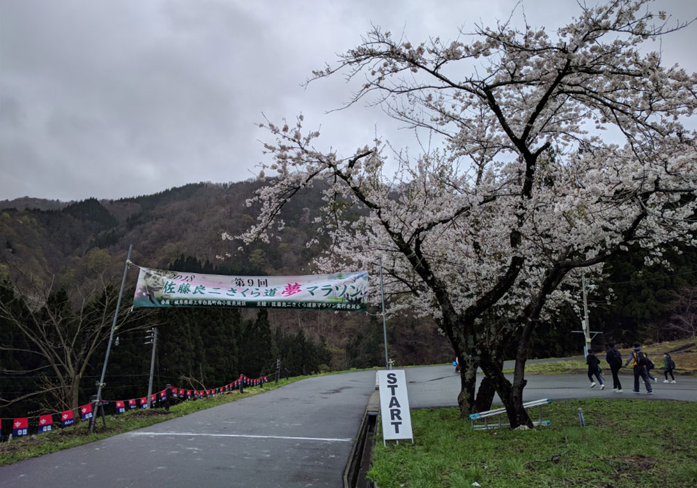 佐藤良二さくら道 夢マラソン 参戦レース報告 ゆめあるサブスリープロジェクト