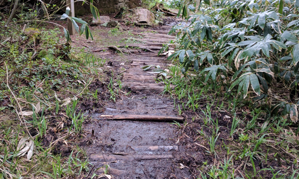 雨でぬかるんだ道