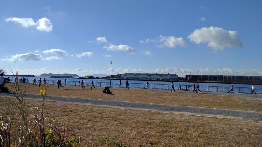 スタート地点近くの海岸