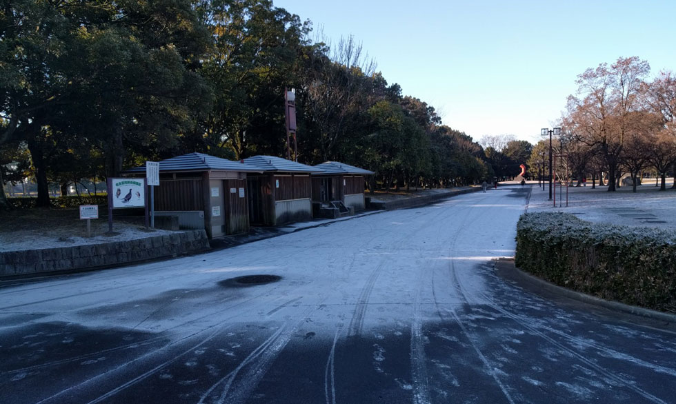 庄内緑地公園