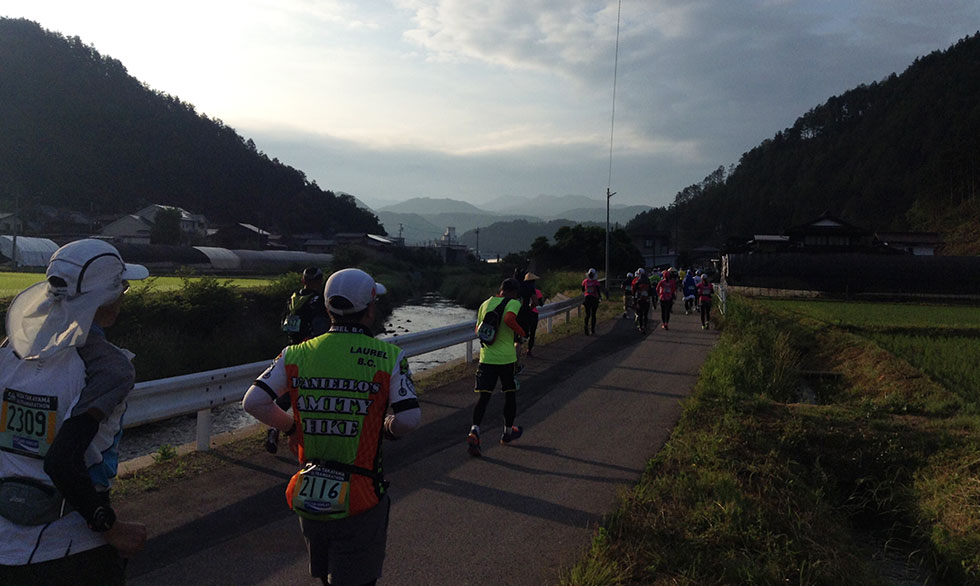 のどかな農村風景