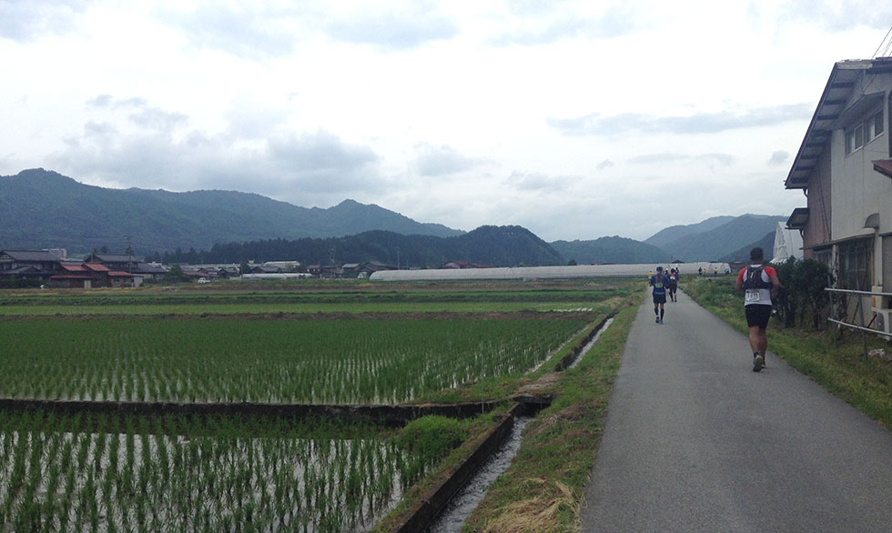 農村風景