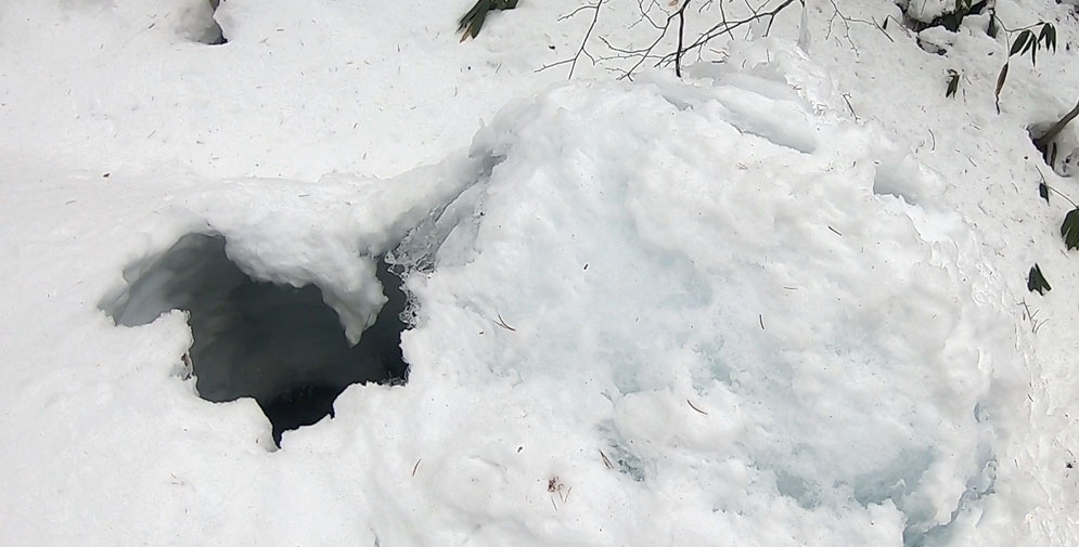 雪のオブジェ