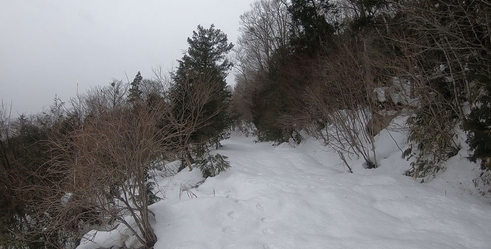 雪がちらほら